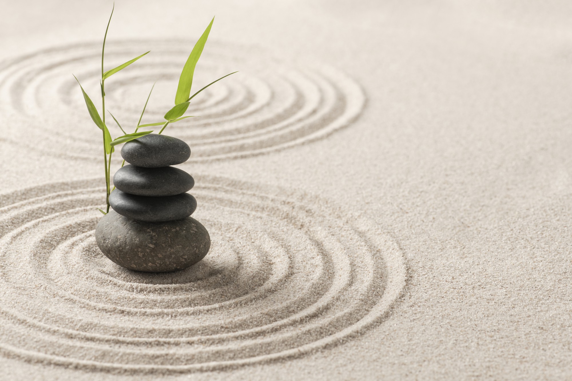 Mindful Healing & Energy Balance Program
